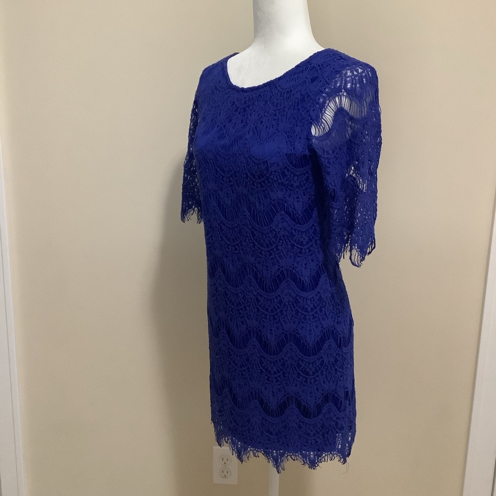 Ezra Royal Blue Lace Mini Dress